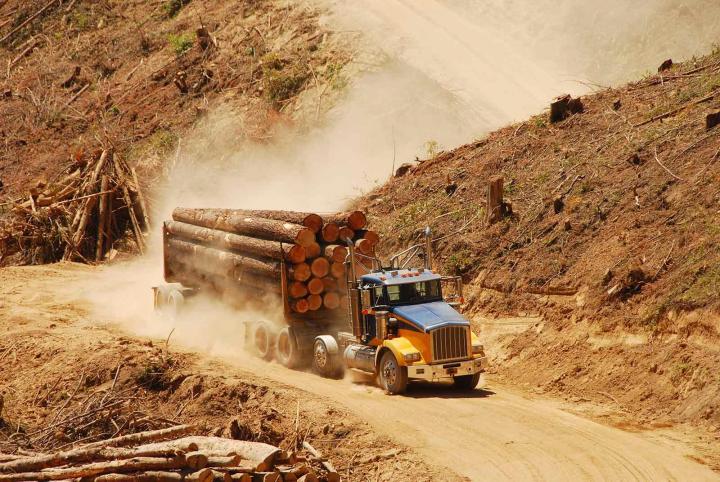 Service logistique pour le transport de matériel en Martinique